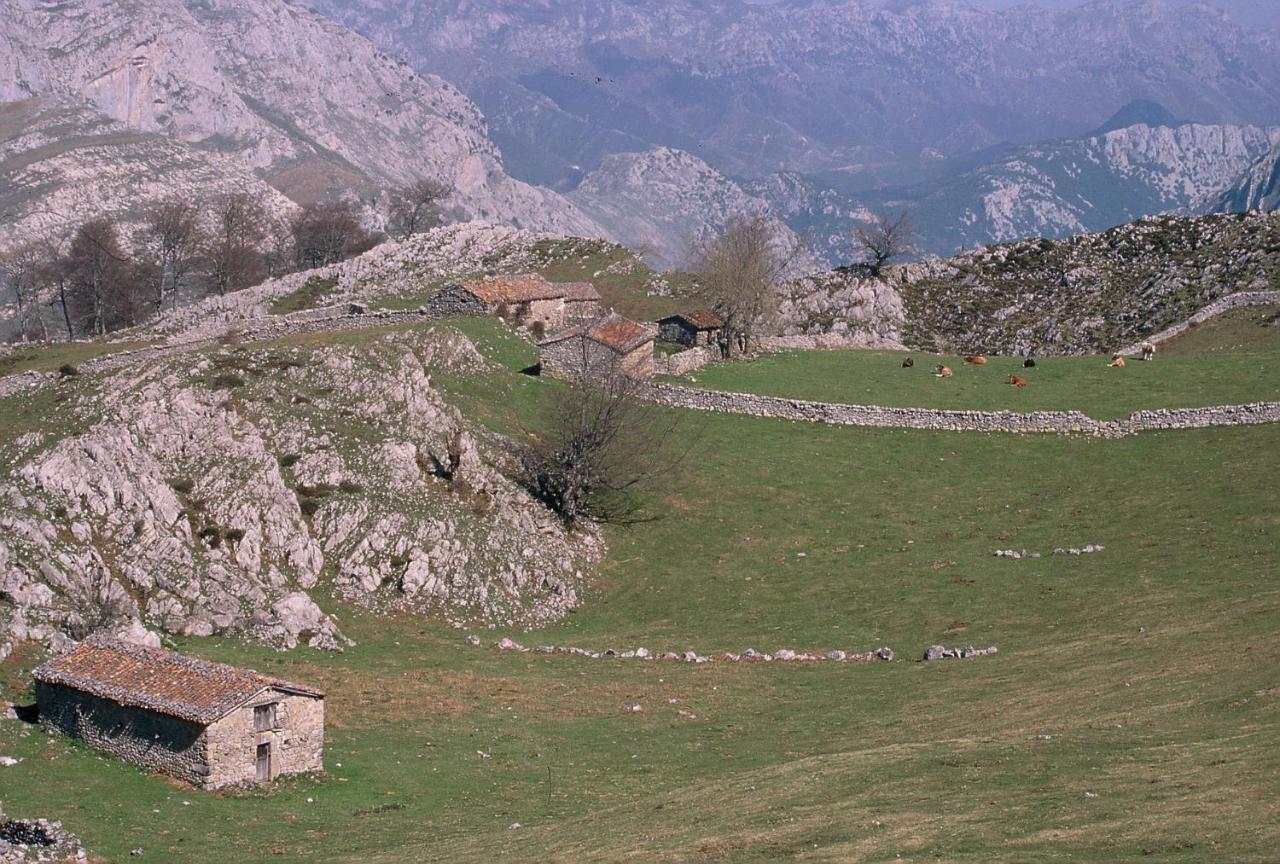 Hotel Picos De Europa Arenas De Cabrales Exteriér fotografie